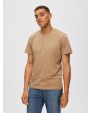 80 - Light Brown