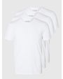 10 - White