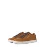 64 - Brown