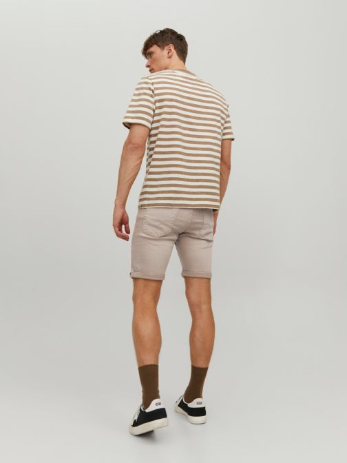 REGULAR FIT SHORTS